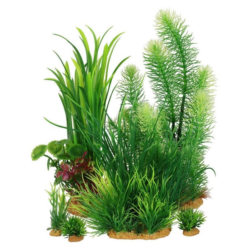 ZOLUX PLANTKIT LARGE NUMERO 3