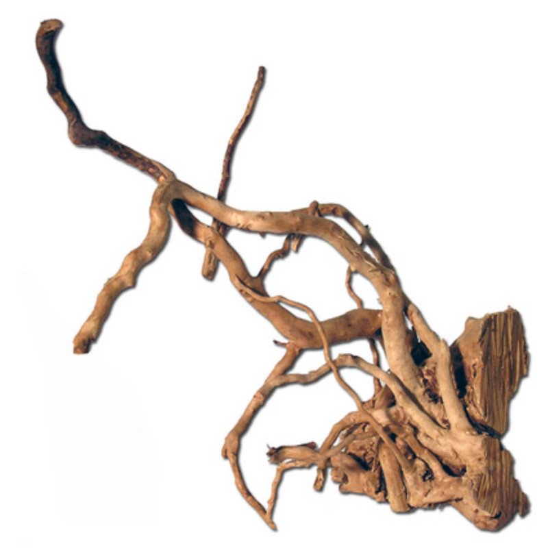 ZOLUX RED WOOD 40-50CM