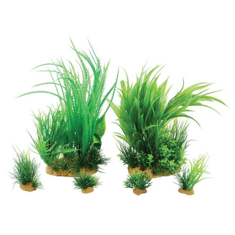 ZOLUX PLANTKIT MEDIUM NUMERO 1