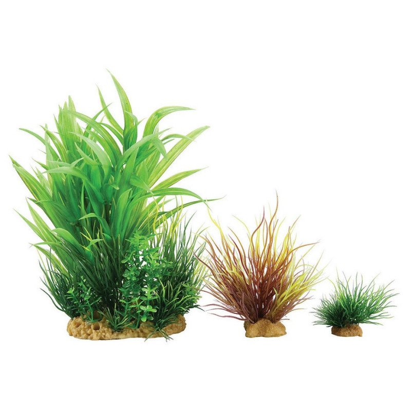ZOLUX PLANTKIT SMALL NUMERO 2