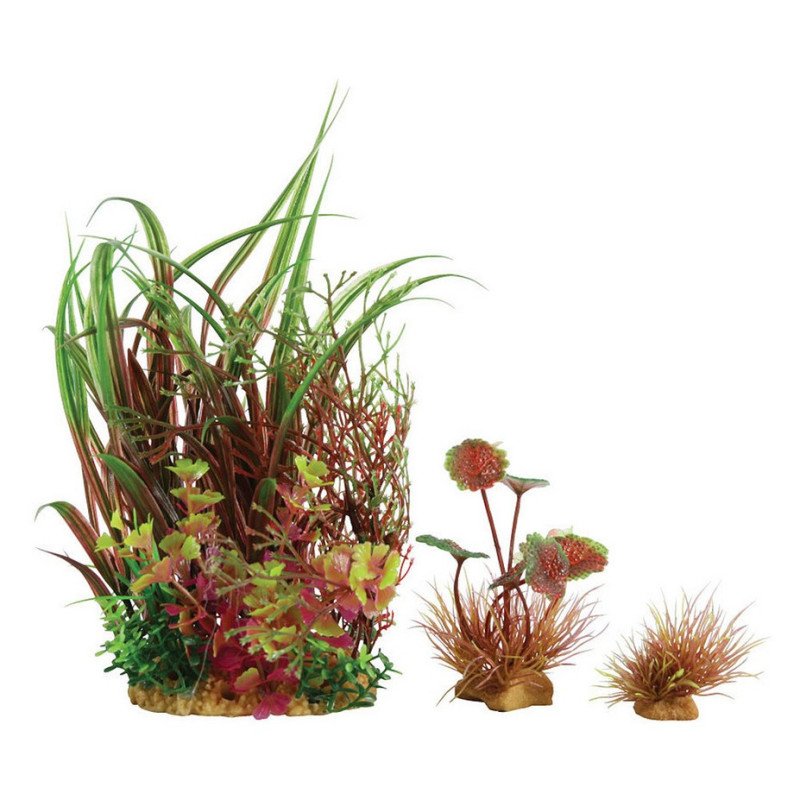 ZOLUX PLANTKIT SMALL NUMERO 3