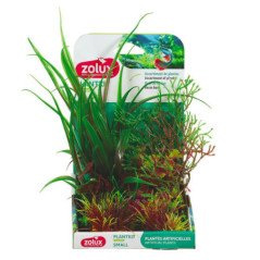 ZOLUX PLANTKIT SMALL NUMERO 3