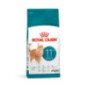 ROYAL CANIN GATTO AGEING 11+