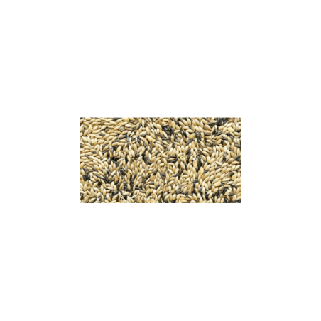 MANITOBA MISCELA CANARINI T3 20KG