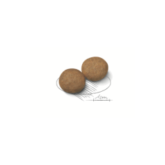 ROYAL CANIN MEDIUM ADULT