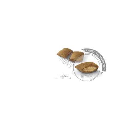 ROYAL CANIN MINI EXIGENT