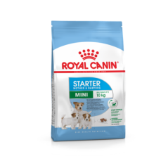 ROYAL CANIN MINI STARTER MOTHER E BABYDOG 1KG
