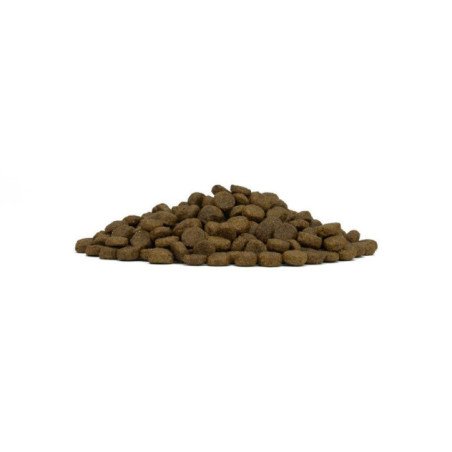 FORZA10 MINI ADULT MAINTENANCE CERVO CON PATATE 1-10KG