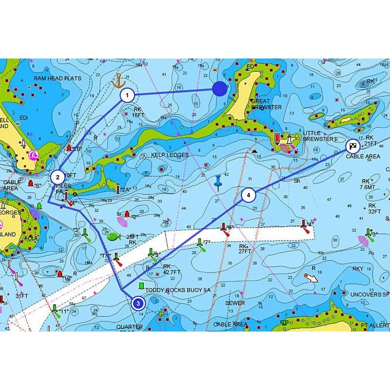 CARTOGRAFIA NAVIONICS PLUS SMALL AREA