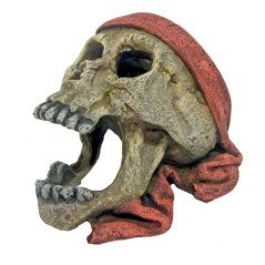 AMTRA TESCHIO PIRATA CON BANDANA