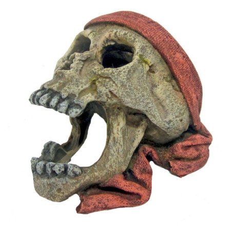 AMTRA TESCHIO PIRATA CON BANDANA