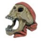 AMTRA TESCHIO PIRATA CON BANDANA