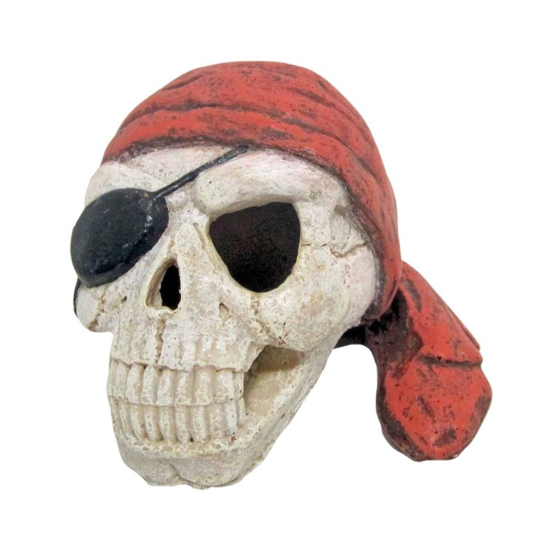 AMTRA TESCHIO PIRATA CON BENDA