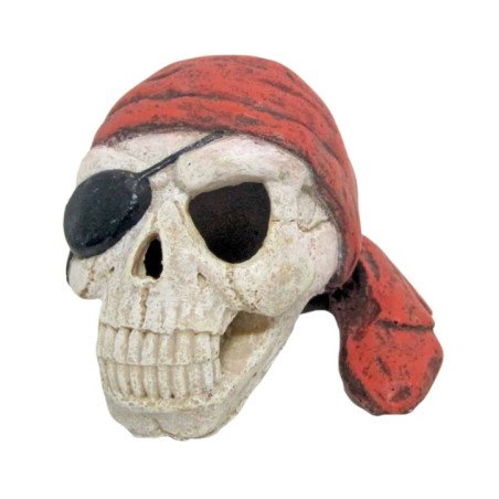 AMTRA TESCHIO PIRATA CON BENDA