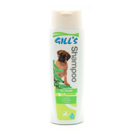 GILL'S SHAMPOO PER DERMATITE AL TE VERDE 200ML