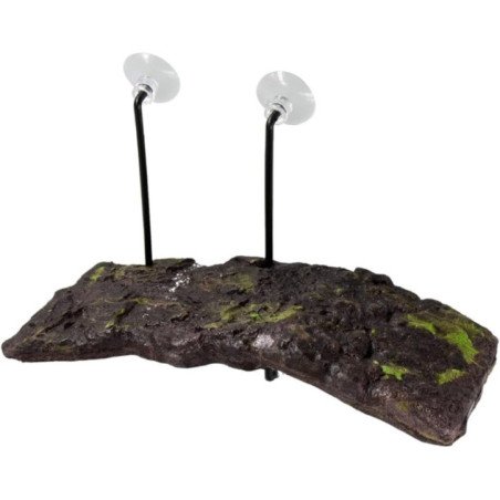 ZOOMED ISOLA TURTLE DOCK MEDIUM