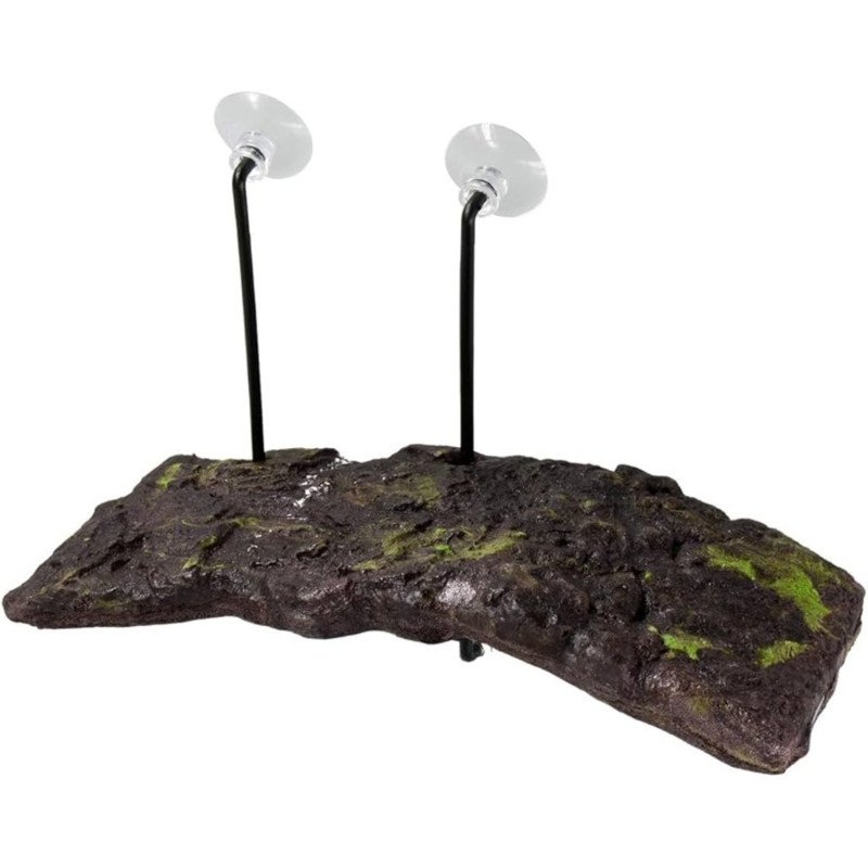 ZOOMED ISOLA TURTLE DOCK LARGE
