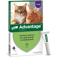 ELANCO ADVANTAGE PER GATTI E CONIGLI MAGGIORE DI 4KG