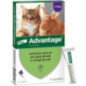 ELANCO ADVANTAGE PER GATTI E CONIGLI MAGGIORE DI 4KG