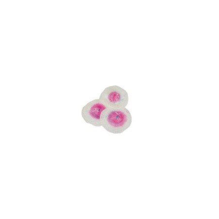 CAMPINGAZ RETINA 200WAT