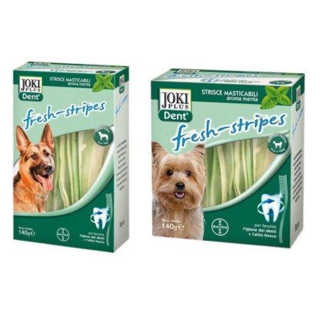 ELANCO JOKI DENT CANE STRIPES FRESH