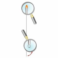 STONFO AGHI BIBI TESTA ROSSA CM 20 BUSTA DA 5PZ