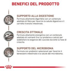 ROYAL CANIN CANE PUPPY GASTROINTESTINAL