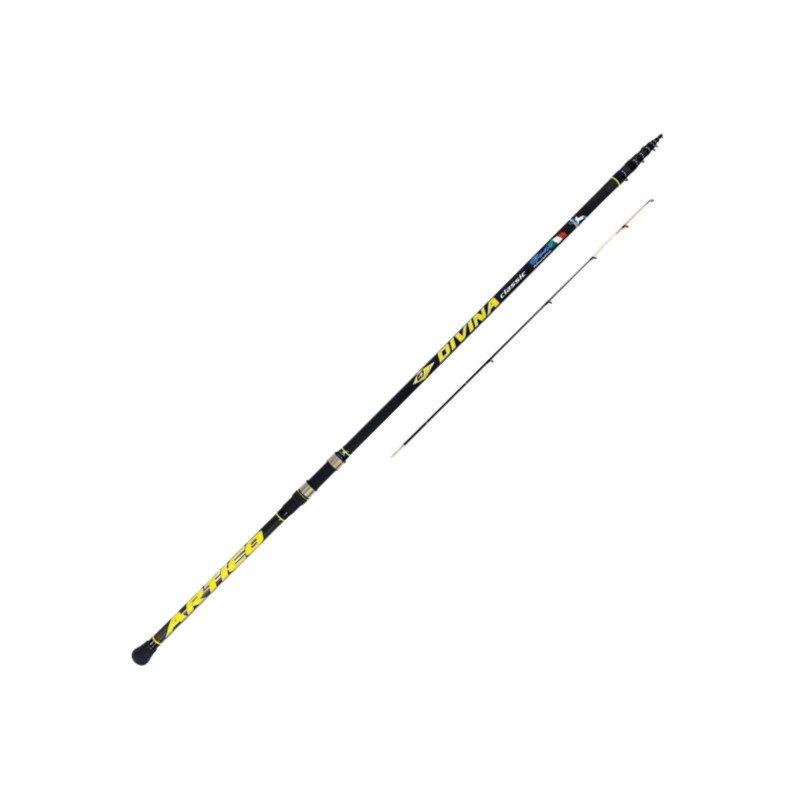 ARTICO CANNA DIVINA CLASSIC 4.00MT 10-70GR