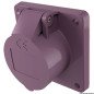 8IN1 PETTINE PERFECT COAT DESHEDDER GATTO