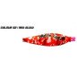 RAGLOU HYBRID MONSTER 200MM 145GR ESCA SILICONICA