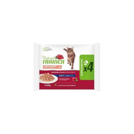 NATURAL TRAINER FLOW PACK ADULT SALMONE 4X85G