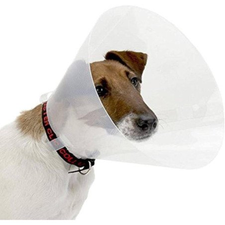 LEOPET COLLARE CHIRURGICO ELISABETTIANO MISURE VARIE