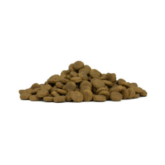 FORZA10 MEDIUM ADULT MONODIET PESCE 11-35KG