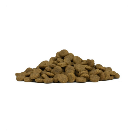 FORZA10 MEDIUM ADULT MONODIET PESCE 11-35KG