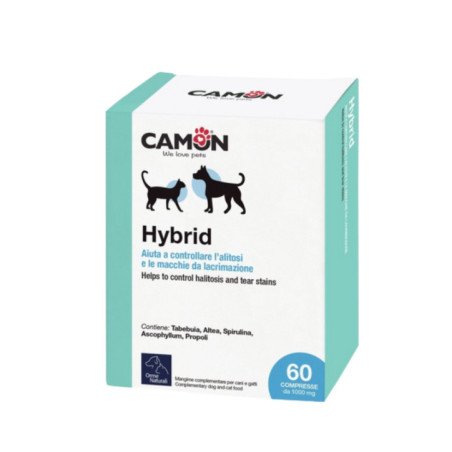 CAMON HYBRID PER IL CONTROLLO DELL'ALITOSI 60 COMPRESSE