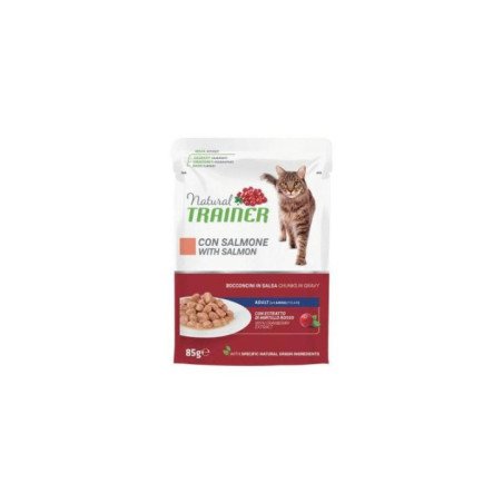 NATURAL TRAINER ADULT GATTO MANTENIMENTO AL SALMONE