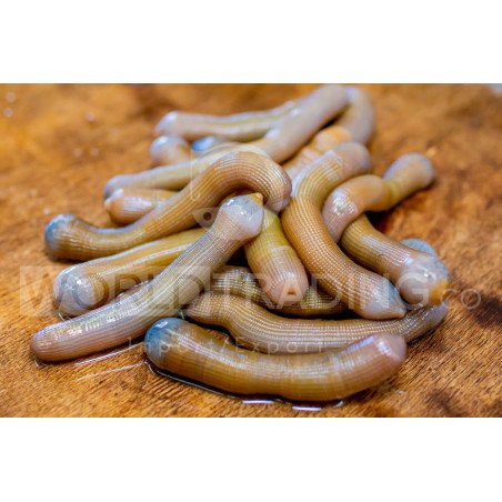 BIBI VENEZIANO PER PALAMITO SURGELATO CF. DA 100GR