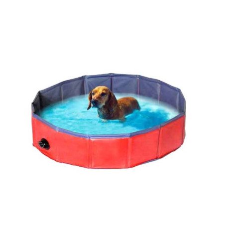 CAMON PISCINA PER CANI