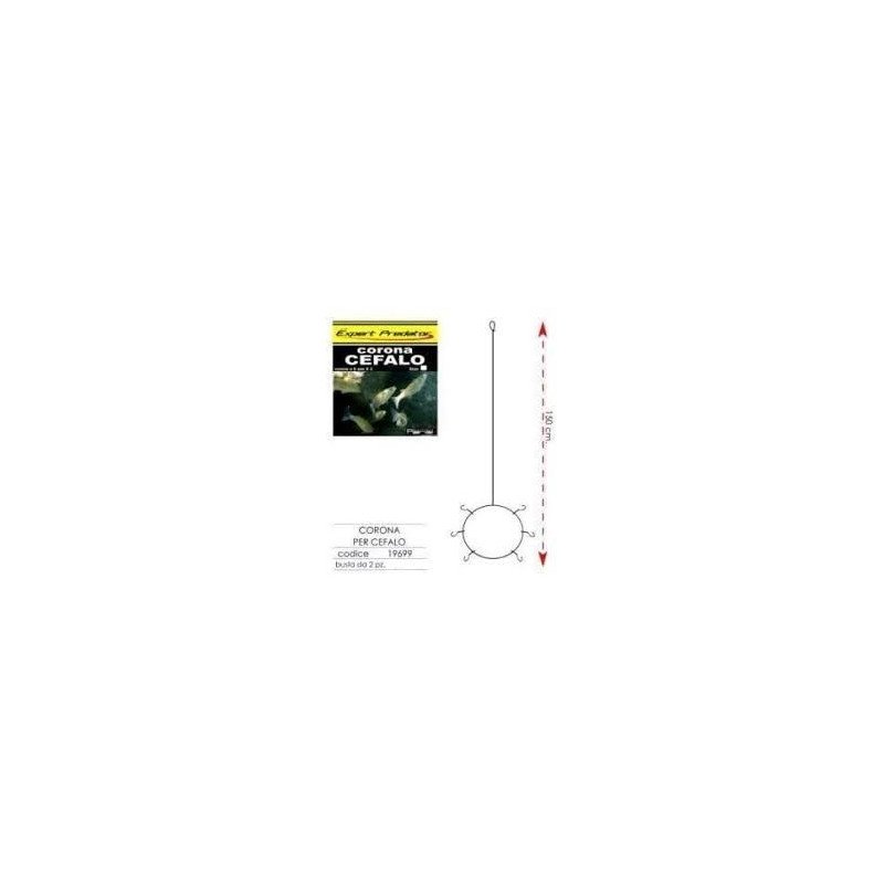 EXPERT CORONA CEFALO A 6 AMI 2PZ