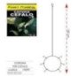 EXPERT CORONA CEFALO A 6 AMI 2PZ