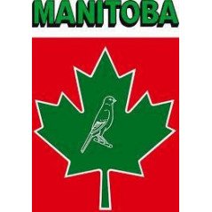 MANITOBA MISCELA CANARINI T3 PLATINO 20KG.