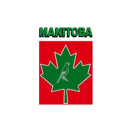 MANITOBA MISCELA CANARINI T3 PLATINO 20KG.