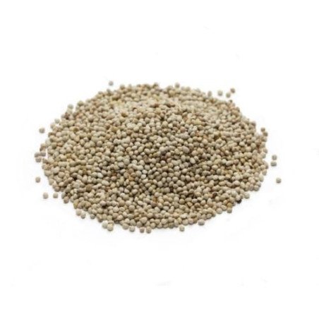 MANITOBA PERILLA BIANCA SACCO 1KG