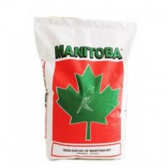 MANITOBA PERILLA BIANCA SACCO 1KG