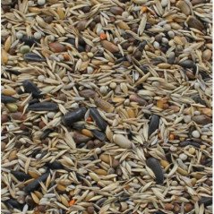 MANITOBA MISCELA CARDUELIDI