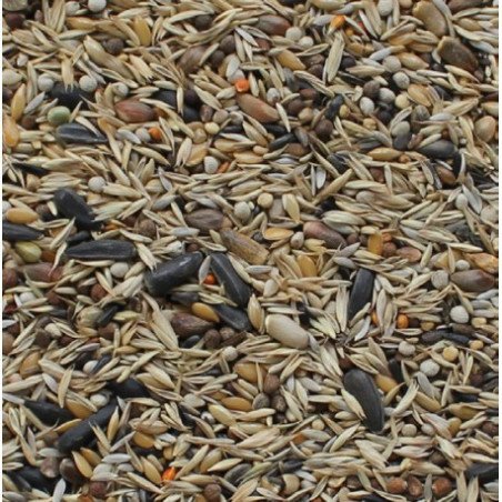 MANITOBA MISCELA CARDUELIDI