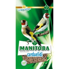 MANITOBA MISCELA CARDUELIDI