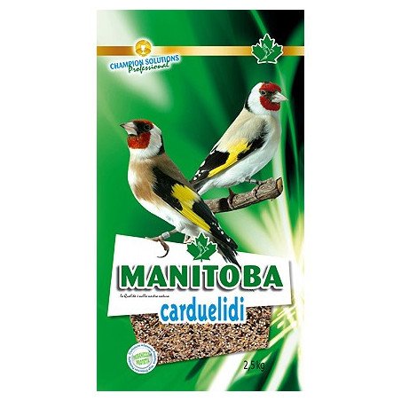 MANITOBA MISCELA CARDUELIDI