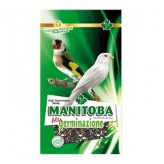 MANITOBA SEMI ALTA GERMINAZIONE 2,5KG