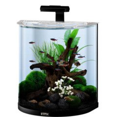 TETRA ACQUARIO EXPLORER NERO LED PESCI 60LT